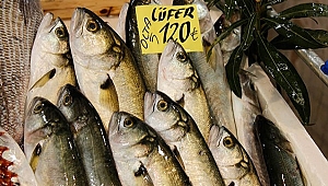 AV YASAĞI SONRASI FİYATLAR AYNI