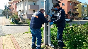 BİGA BELEDİYESİ'NDEN SOKAK HAYVANLARINA BESLEME ODAKLARI