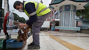 ÇAN BELEDİYESİ SOKAK HAYVANLARINI UNUTMUYOR