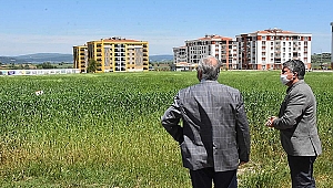 BAŞKAN GÖKHAN, KARAKILÇIK BUĞDAY ALANLARINI İNCELEDİ