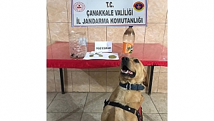 ROKET'İN BURNUNDAN KAÇAMIYORLAR!