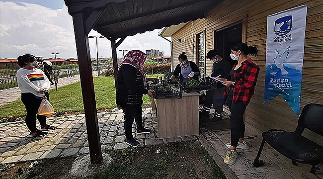 YEREL TOHUMLARDAN ÜRETİLEN FİDELERE KENTLİLERDEN BÜYÜK İLGİ