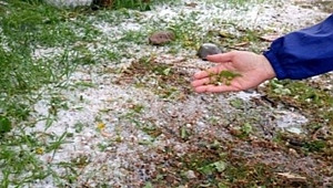 10 BİN DÖNÜM ARAZİ ZARAR GÖRDÜ!