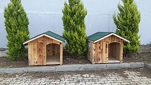 BİGA BELEDİYESİ SOKAK HAYVANLARINA ÇATI OLUYOR