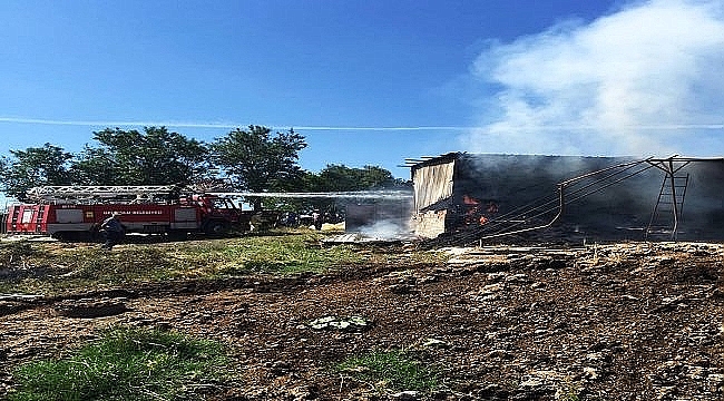 GELİBOLUDA YANGIN 300 SAMAN BALYASI KÜL OLDU