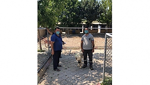 CAN DOSTLAR İÇİN ÇALIŞMALAR SÜRÜYOR