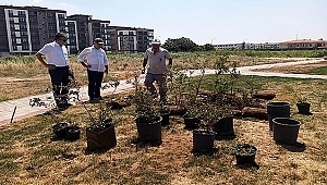 YENİ YEŞİL ALANLAR İÇİN ÇALIŞMALAR HIZLA SÜRÜYOR