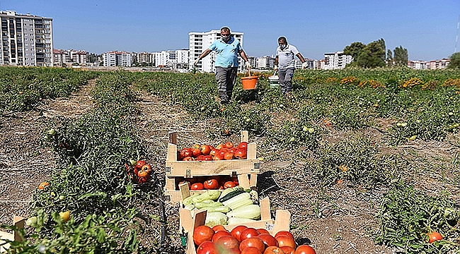  "ATALARDAN TOPRAĞA, TOPRAKTAN SOFRAYA"