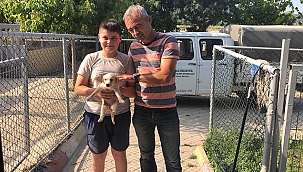 CAN DOSTLAR İÇİN ÇALIŞMAYA DEVAM