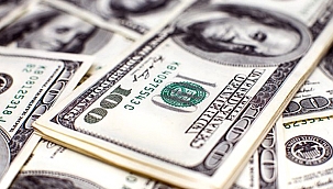 DOLARIN YÜKSELİŞİ DURDURULAMIYOR!