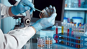  KORONAVİRÜSÜN MUTASYONA UĞRADIĞI ORTAYA ÇIKTI!