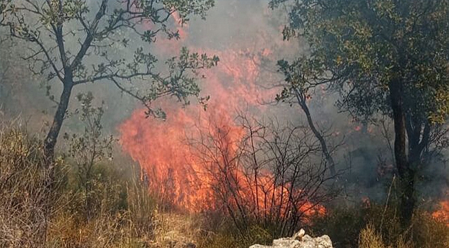 TROAS ÖREN YERİ'NDE YANGIN!