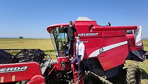 BİGA'DA YILIN İLK ÇELTİK HASADI VALİ AKTAŞ'IN KATILIMIYLA GERÇEKLEŞTİRİLDİ