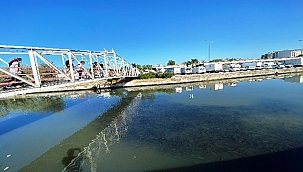 BİNLERCE KEFAL SÜRÜSÜ