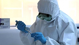 DÜNYA SAĞLIK ÖRGÜTÜNDEN ÜRKÜTEN AÇIKLAMA!