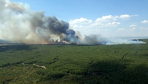 GELİBOLU'DA ORMAN YANGINI!