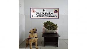 ZEHİR TACİRLERİNE GEÇİT YOK!