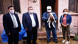 HİBE DESTEĞİ BEREKETİYLE GELDİ, ENGELLİ ÇİFTÇİ KOYUN ÜRETİMİNE BAŞLADI!