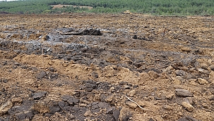 ILGARDERE YANGIN SAHASI YEŞİL ÖRTÜSÜNE KAVUŞACAK