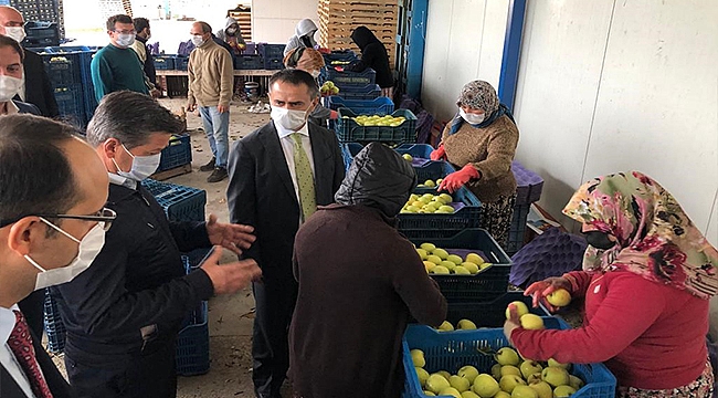 VALİ AKTAŞ, BAYRAMİÇ İLÇESİ EVCİLER KÖYÜ'NÜ ZİYARET EDEREK İNCELEMELERDE BULUNDU