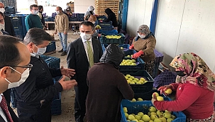 VALİ AKTAŞ, BAYRAMİÇ İLÇESİ EVCİLER KÖYÜ'NÜ ZİYARET EDEREK İNCELEMELERDE BULUNDU