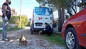 CAN DOSTLAR GÜZELYALI'DA SAĞLIK KONTROLÜNDEN GEÇİRİLDİ