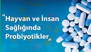 ÇOMÜ'DEN ORTAĞI OLDUĞU AB PROJESİNE DESTEK