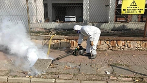 KENT GENELİNDE SICAK SİSLEME ÇALIŞMASI