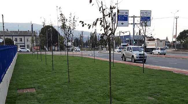 PARK VE BAHÇELER MÜDÜRLÜĞÜ PEYZAJ ÇALIŞMALARINA DEVAM EDİYOR