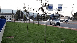 PARK VE BAHÇELER MÜDÜRLÜĞÜ PEYZAJ ÇALIŞMALARINA DEVAM EDİYOR
