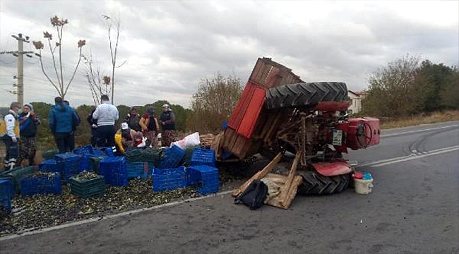 ZEYTİN İŞÇİLERİNİN TRAKTÖRÜ DEVRİLDİ!