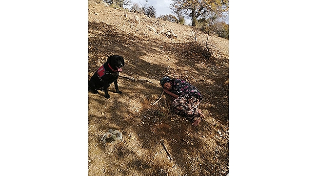 83 YAŞINDAKİ KADIN JANDARMA TARAFINDAN SAĞ BULUNDU!