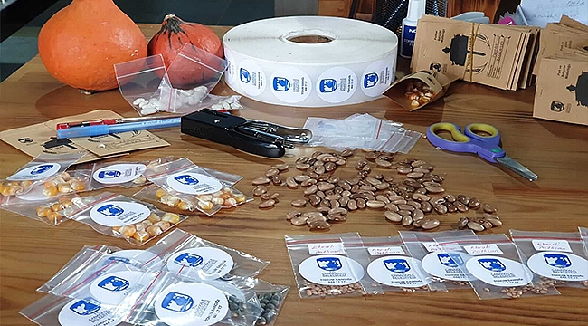 ATALIK TOHUMLAR KENTLİLER İLE BULUŞMAK İÇİN HAZIRLANIYOR