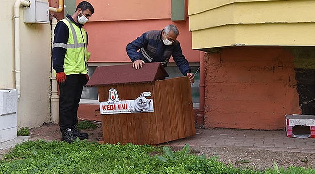 "HAYAT SENİN KALBİNLE DAHA GÜZEL NEHİR…"