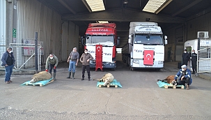 Kaleseramik, yılın ilk sevkiyatını yaptı !