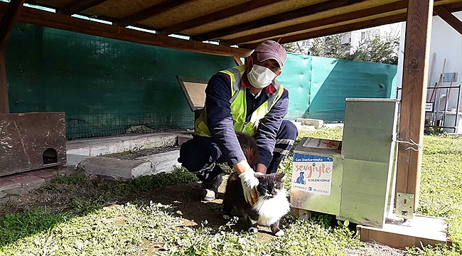 KEDİ KÖYÜNDE SAĞLIK TARAMALARI DEVAM EDİYOR