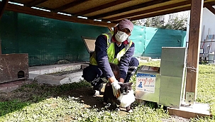 KEDİ KÖYÜNDE SAĞLIK TARAMALARI DEVAM EDİYOR