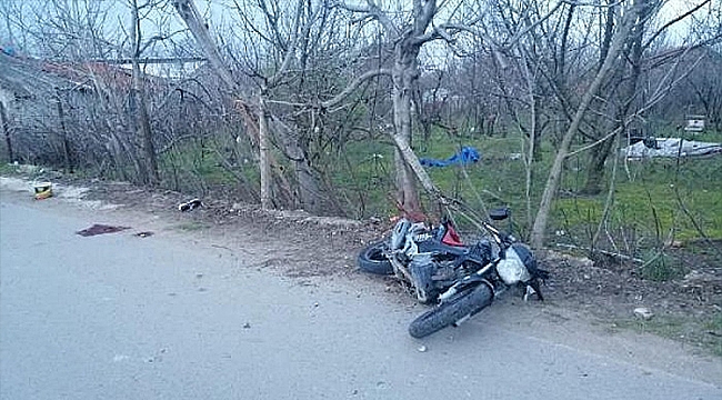 KÖPEĞE ÇARPMAMAK İÇİN CANINDAN OLDU!