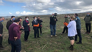 TEDAVİSİ TAMAMLANAN ATMACALAR DOĞAL YAŞAM ALANINA BIRAKILDI