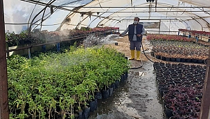 BİTKİSEL ÜRETİM ÇALIŞMALARI HIZLA SÜRÜYOR