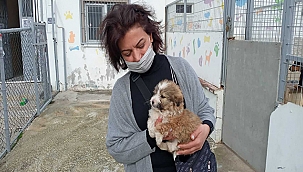 CAN DOSTLARIMIZ İÇİN ÇALIŞMAYA DEVAM