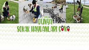 BAŞKAN GÖKHAN'IN 4 NİSAN DÜNYA SOKAK HAYVANLARI GÜNÜ MESAJI