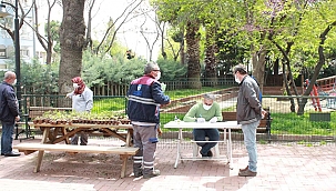 FİDE DAĞITIMLARI BAŞLADI