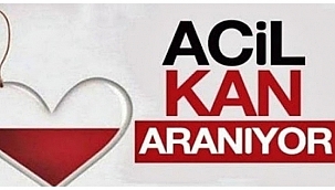 PLAZMA KAN ARANIYOR...!