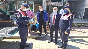 YARALANAN BALABAN KUŞU TEDAVİ EDİLDİ