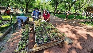 BİBER VE PATLICAN FİDELERİ KENTLİLER İLE BULUŞTURULDU