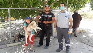 CAN DOSTLAR YENİ YUVALARINA KAVUŞUYOR