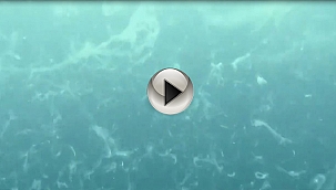 DENİZ ALTINDAKİ MÜSİLAJ KÜMELERİ GÖRÜNTÜLENDİ!