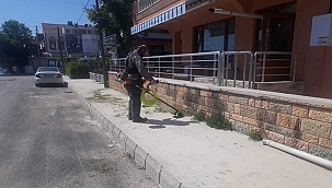 GÜZELYALI'DA GENEL TEMİZLİK ÇALIŞMASI