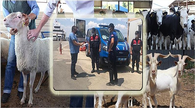 BAYRAM ÖNCESİ DENETİMLER ARTIRILDI